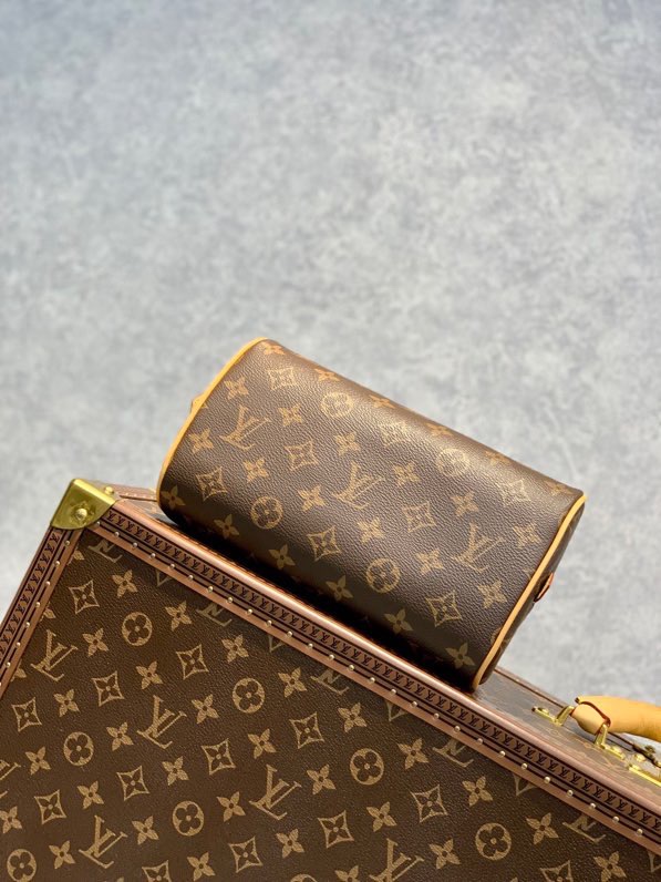 LV Top Handle Bags